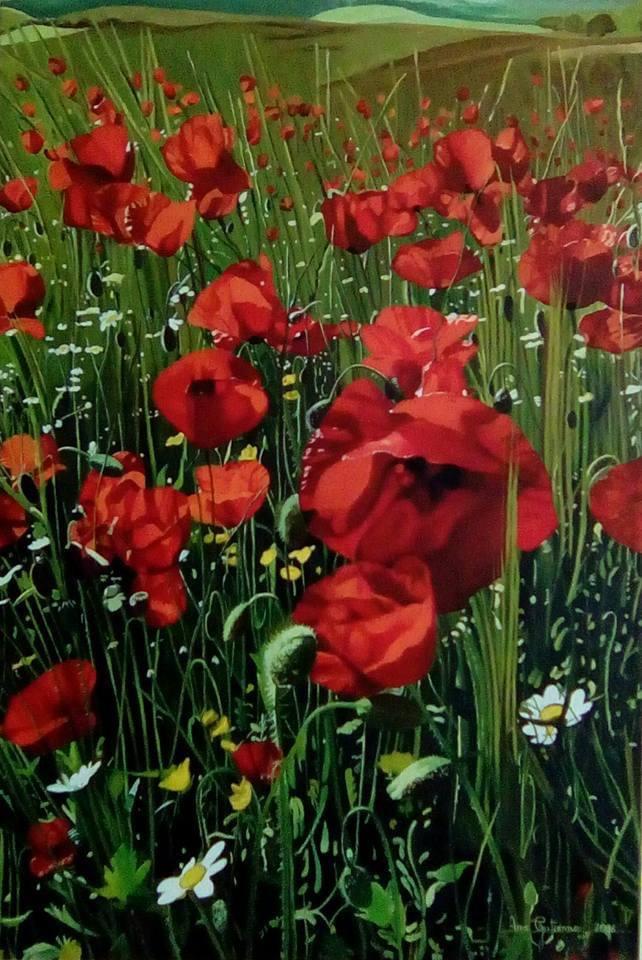 AMAPOLAS