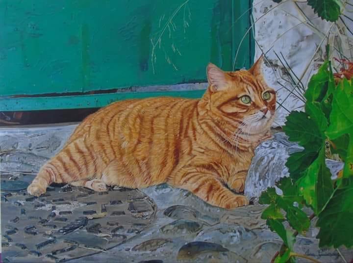 QUIETUD GATUNA